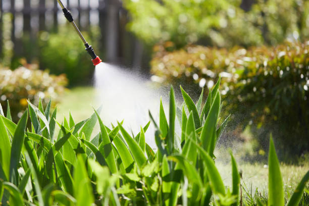 24/7 Emergency Mosquito Control experts in Kenosha, WI