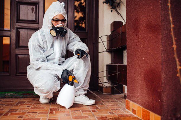 Reliable Mosquito Control contractor in Kenosha, WI by Show Me Pest Control